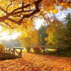 Meet your Posher, Verlisa